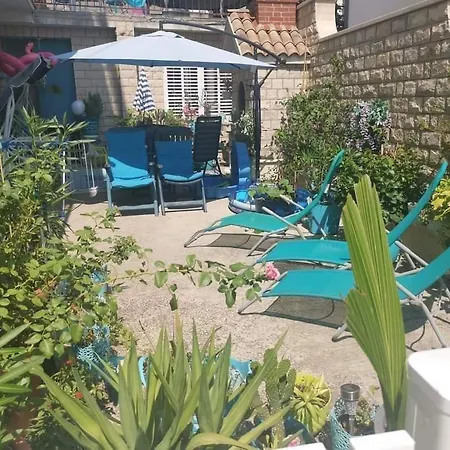 Blue Oasis 2-6 *