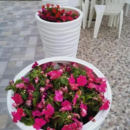 Blue Oasis 2-6 Apartman *