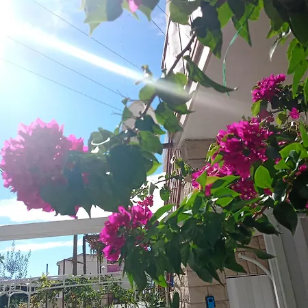 Apartman Blue Oasis 2-6 *