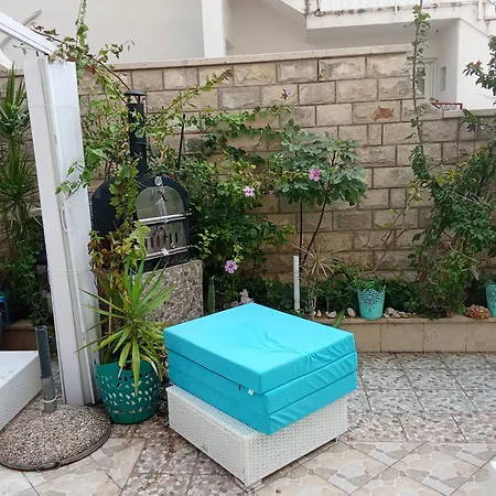 Blue Oasis 2-6